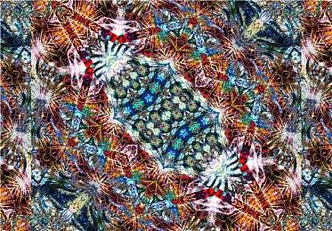 《暗黑破坏神4》PvP区域出现“无敌”漏洞